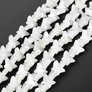 Natural Trochid Shell/Trochus Shell Beads Strands, Butterfly, Floral White, 7.5~8.5x11x3mm, Hole: 0.6~0.7mm, about 50~51pcs/strand, 12.20 inch~12.52 inch(31cm~31.8cm)(SHEL-S276-158)