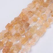 Raw Rough Natural Citrine Bead Strands, Nuggets, 15~20x14~18x10~14mm, Hole: 1mm, about 25pcs/strand, 14.9 inch(38cm)(G-F403-09)