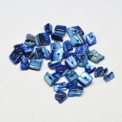 Dyed Natural Freshwater Shell Chips Beads, Shell Shards, Royal Blue, 7~11x5~8mm, Hole: 1mm, about 980pcs/500g(SHEL-O001-12C)