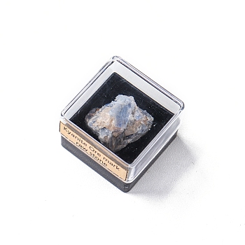 Rough Raw Natural Kyanite Display Decorations, Irregular Healing Reiki Stone with Plastic Box, for Home Decorations, Box: 32mm