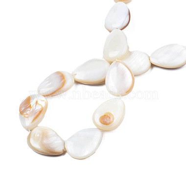 Natural White Shell Beads Strands(PBB263Y-1)-7