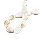 Natural White Shell Beads Strands(PBB263Y-1)-7