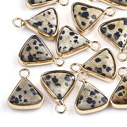 Natural Dalmatian Jasper Pendants, with Brass Findings, Triangle, Golden, 16~16.5x12.5x5mm, Hole: 2mm(G-S344-10B)