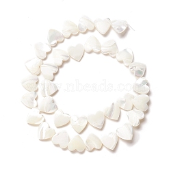 Natural Trochid Shell/Trochus Shell Beads, Peach Heart, Seashell Color, 12x12.5x3~4mm, Hole: 0.8mm, about 33pcs/strand, 15.59 inch(39.6cm)(SSHEL-O001-27C)