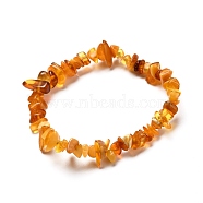 Natural Amber Chip Beads Stretch Bracelet for Kid, Inner Diameter: 1-3/4 inch(4.5cm)(BJEW-JB06819-01)