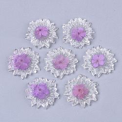 Transparent Clear Epoxy Resin Cabochons, with Dried Flower Inside, Flower, Orchid, 32~35x6mm(CRES-N025-02E)