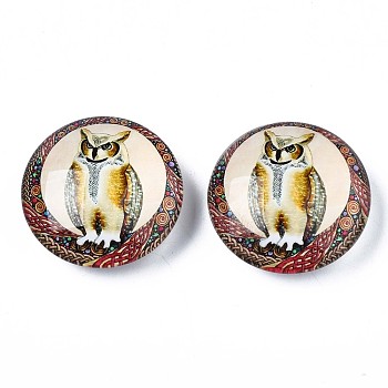 Glass Paper Snap Buttons, with Plastic & Iron Snap Caps, Garment Buttons, Flat Round with Animal, Owl Pattern, 35x13~14mm