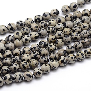 Natural Dalmatian Jasper Round Bead Strands, 6mm, Hole: 1mm, about 62pcs/strand, 15.5 inch