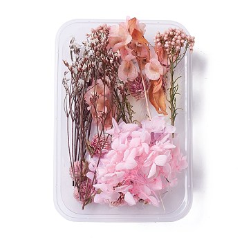 Dried Flowers, DIY Candle Soap Making Accessories, with Plastic Rectangle Box, Pink, 2.2~15.5x1.7~7.6cm