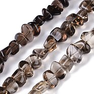 Natural Smoky Quartz Beads Strands, Nuggets, Grade A, 7~8x9~13x7~9mm, Hole: 1.2mm, 15.75~16.14''(40~41cm)(G-B072-C01-01)
