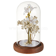 Glass Dome Cover, Decorative Display Case, Cloche Bell Jar Terrarium with Wood Base, for DIY Preserved Flower Gift, Clear, 114x132mm(AJEW-WH0475-19B)