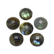 Natural Labradorite Cabochons, Half Round, Faceted, 15.5x5.5mm(G-L514-007A)