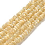 Natural Trochus Shell Beads Strands, Rondelle, Wheat, 4~4.5x2mm, Hole: 0.8mm, about 171pcs/strand, 15.04''(38.2cm)(SHEL-K006-25B)