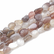 Natural Botswana Agate Beads Strands, Oval, 8~15x8~10x4~10mm, Hole: 1mm, about 36~42pcs/strand, 15.7 inch(G-S331-8x10-010)