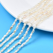 Natural Cultured Freshwater Pearl Beads Strands, Rice, Seashell Color, 2.5~8x2.5~3.5mm, Hole: 0.6mm, about 42~55pcs/strand, 13.35~13.78 inch(33.9~35cm)(PEAR-N012-02F)