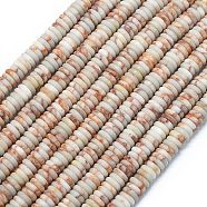 Frosted Natural Netstone Beads Strands, Rondelle, 6x2mm, Hole: 0.7mm, about 182pcs/strand, 15.16''(38.5cm)(G-K389-C08-01)