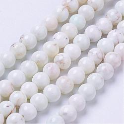 Natural Magnesite Bead Strands, Dyed, Round, Floral White, 6mm, Hole: 1mm, about 68pcs/strand, 15.7 inch(G-P286-10-6mm)