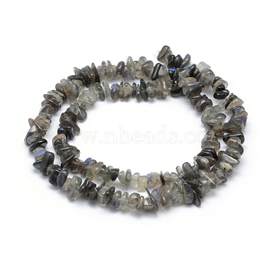 Natural Labradorite Beads Strands(G-P332-54)-2