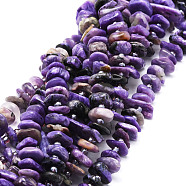 Natural Charoite Beads Strands, Nuggets, 7~12x9~15x1.5~4.5mm, Hole: 1mm, about 83pcs/strand, 14.88''(37.8cm)(G-E569-K04)