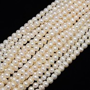 Natural Cultured Freshwater Pearl Beads Strands, Potato, Creamy White, 7~8mm, Hole: 0.8mm, about 46~48pcs/strand, 13.77 inch~14.17 inch(X1-PEAR-L001-C-05)
