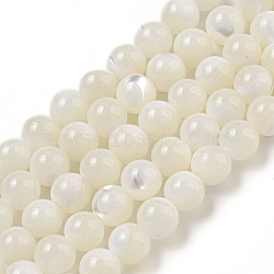 Natural Sea Shell Beads Strands, Round, Ghost White, 5.5mm, Hole: 1mm, about 73pcs/strand, 15.35 inch(SSHEL-K013-5.5mm-A)