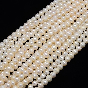Natural Cultured Freshwater Pearl Beads Strands, Potato, Creamy White, 7~8mm, Hole: 0.8mm, about 46~48pcs/strand, 13.77 inch~14.17 inch