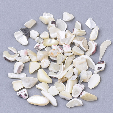 Sea Shell Beads(SSHEL-S258-70)-2