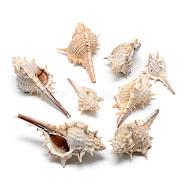 Thorn Conch Shell Big Pendants, Antique White, 40~68x12~39x15~30mm, Hole: 1~2mm, about 110pcs/500g(SSHEL-Q299-004)