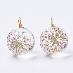 Glass Pendants, with Dried Flower Inside & Brass Findings, Round, Golden, Pink, 19x14mm, Hole: 2mm(GLAA-Q070-002B-04)