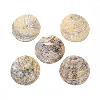 Mother of Pearl Buttons, Akoya Shell Button, 2-Hole, Shell Shape, Mixed Color, 35x35x4.7mm, Hole: 2mm