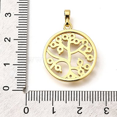 Placage de crémaillère en laiton micro pavé pendentifs en zircone cubique(KK-L226-051G-04)-3