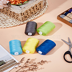 5 Rolls 5 Colors Polyester Threads, Mixed Color, 0.1mm, about 1093.61 Yards(1000m)/roll, 1 roll/color(AJEW-LP0010-16B)