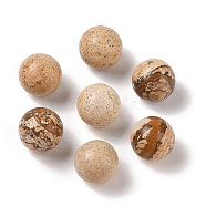 Natural Picture Jasper No Hole Sphere Beads, Round, 12mm(G-K353-04B-15)