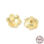 925 Sterling Silver Bead Caps, 6-Petal, Flower, Real 18K Gold Plated, 6x6.5x2mm, Hole: 1mm, about 50pcs/10g(STER-F055-11G)