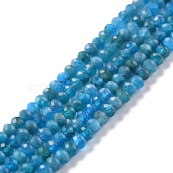 Natural Apatite Beads Strands, Faceted, Rondelle, 4x3mm, Hole: 0.8mm, about 137pcs/strand, 15.35''(39cm)(G-K312-20B)