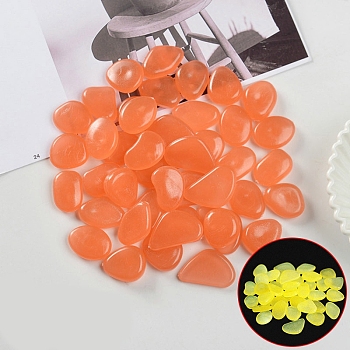 Resin Luminous Glow in the Dark Pebbles Stone, Vase Fillers, Nuggest, Coral, 20~30mm