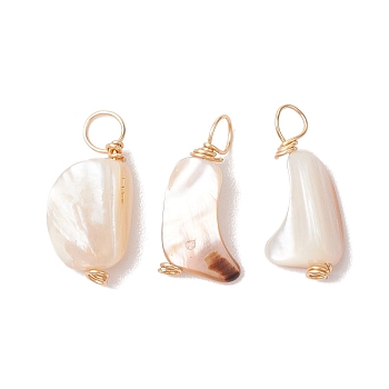 Natural Seashell Nuggets Charms, with Copper Wire Loops, Golden, 7.5~11x6.5~8.5x3.5~7mm, Hole: 1.5~3.5mm