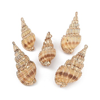 Natural Shell Pendants, Shell Shape Charms, 29~42x13~19x12~17mm, Hole: 3.5mm