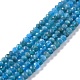 Natural Apatite Beads Strands(G-K312-20B)-1