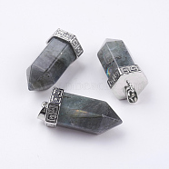 Natural Labradorite Pointed Pendants, with Brass Finding, Bullet, Platinum, 39x18mm, Hole: 4.5x5.5mm(G-E442-03N)