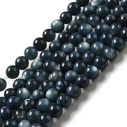 Natural Freshwater Shell Beads Strands, Round, Dyed, Prussian Blue, 3mm, Hole: 0.5mm, about 124~132pcs/strand, 14.96''(38cm)(SHEL-H003-03C)