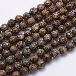 Natural Snowflake Obsidian Beads Strands, Round, Faceted, 10~10.5mm, Hole: 1mm, about 36pcs/strand, 15.7 inch(40cm)(G-G697-F07-10mm)