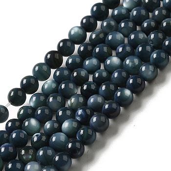 Natural Freshwater Shell Beads Strands, Round, Dyed, Prussian Blue, 3mm, Hole: 0.5mm, about 124~132pcs/strand, 14.96''(38cm)