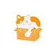 紙箱のブローチに入った漫画の猫(PW-WG49573-01)-1