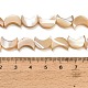 Natural Trochid Shell/Trochus Shell Beads Strands(SH-CBA93AD-01)-4