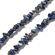 Natural Lapis Lazuli Beads Strands, Chip, 1~5x3~16x3~5mm, Hole: 0.8~0.9mm, 29.92~32.68''(76~83cm)(G-E607-A01)