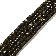 Natural Golden Sheen Obsidian Beads Strands, Faceted, Cube, 2.5x2.5x2.5mm, Hole: 0.7mm, about 170pcs/strand, 15.35''(39cm)(G-D467-A15)