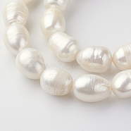 Natural Cultured Freshwater Pearl Beads Strands, Oval, Seashell Color, 11~15x10~11mm, Hole: 0.8mm, about 27pcs/strand, 13.7 inch(PEAR-R064-05)