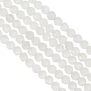 2 Strands Natural White Moonstone Beads Strands, Faceted, Round, 3mm, Hole: 0.5mm, about 113pcs/strand, 15.35 inch(39cm)(G-OC0004-42)
