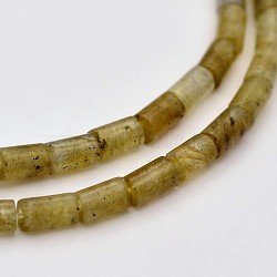 Column Natural Labradorite Beads Strands, 4x2mm, Hole: 0.5mm, about 98pcs/strand, 15.7 inch(G-N0153-43)